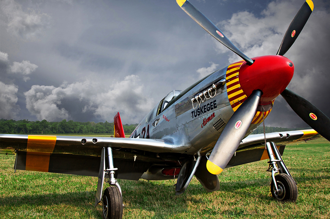 Red Tail