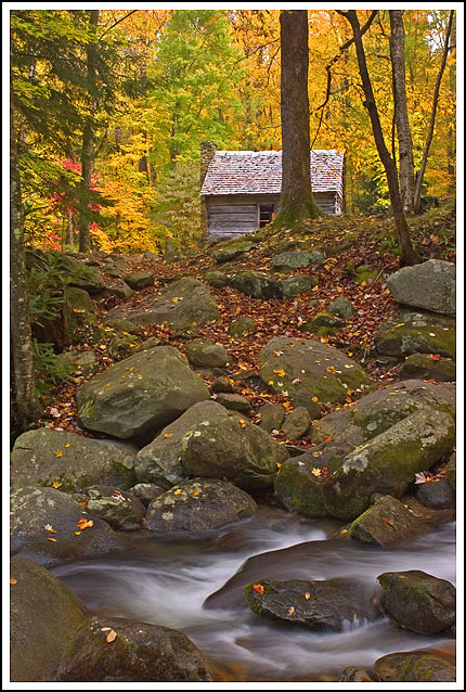 Over the River and Through the Woods ...
