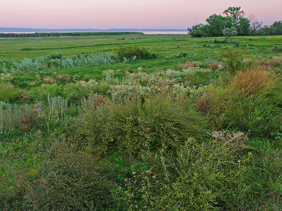 Sleeping Steppes