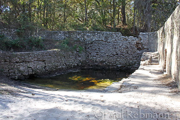 Suwannee Springs Puddle