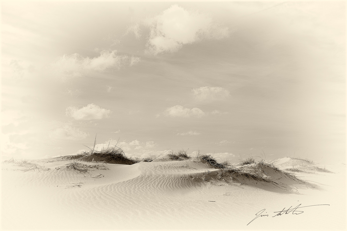 The Sheltering Sky