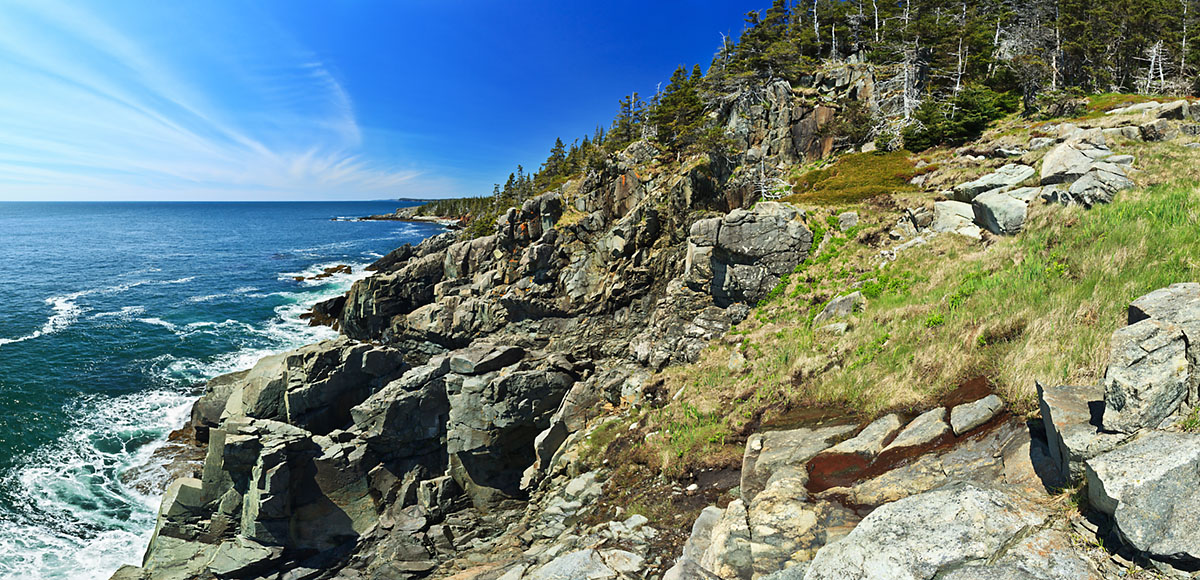 Bold Coast 3