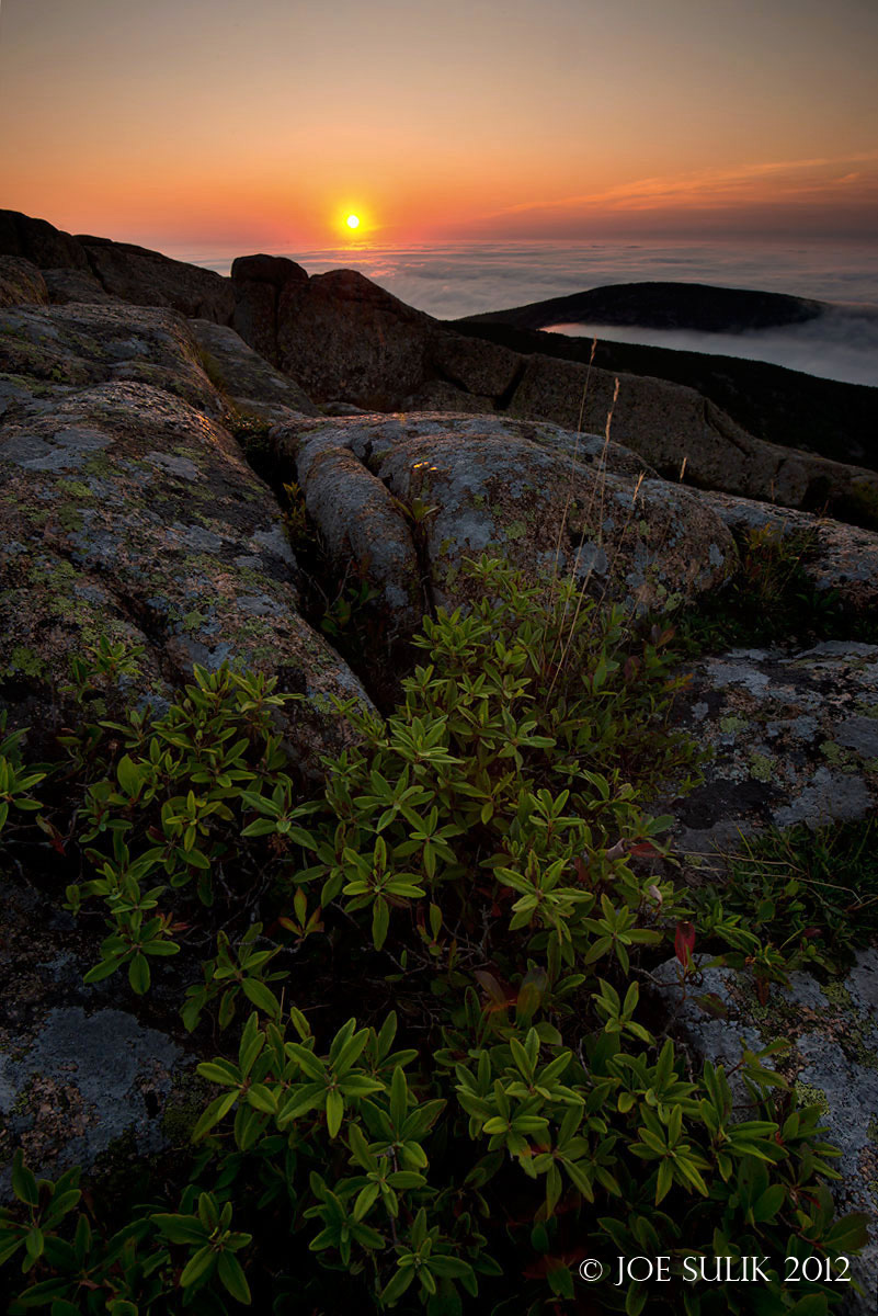 Cadillac Sunrise
