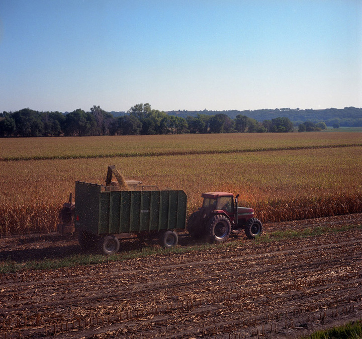 Silage in the Morning