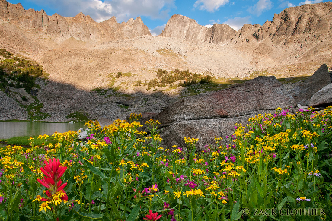 Alpine Glory w/Repost