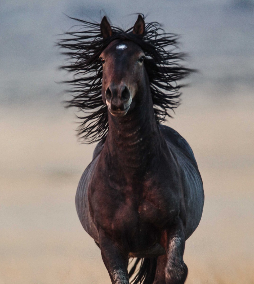 Bad Hair Day