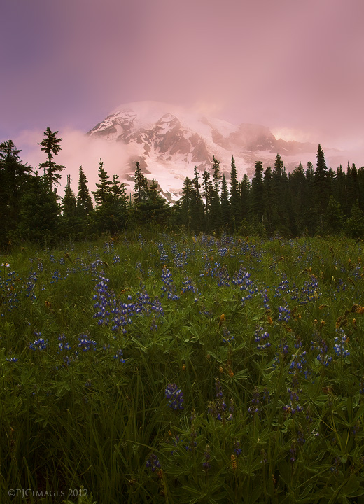 Sour grape sunrise + repost