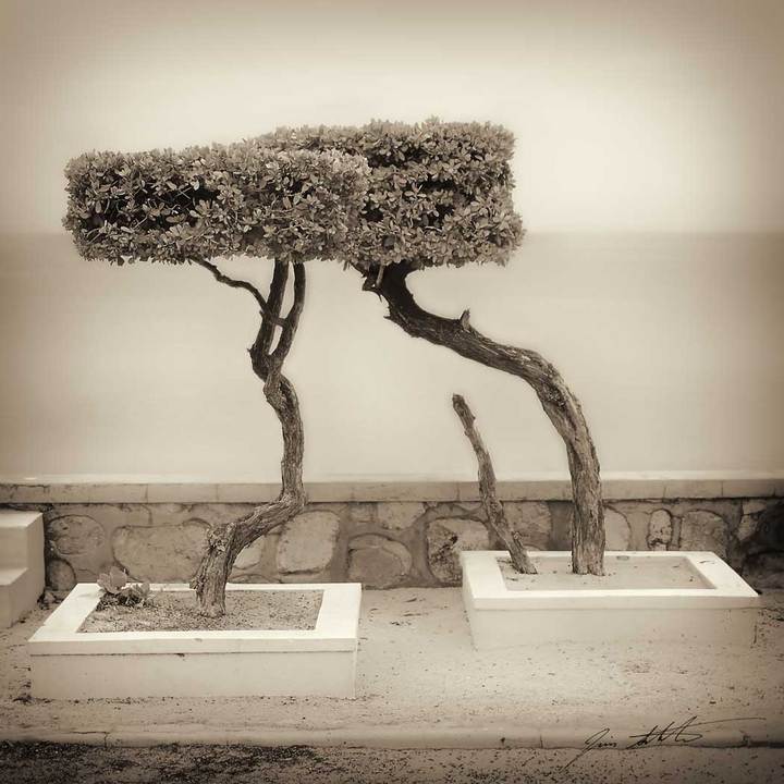 The Lovers