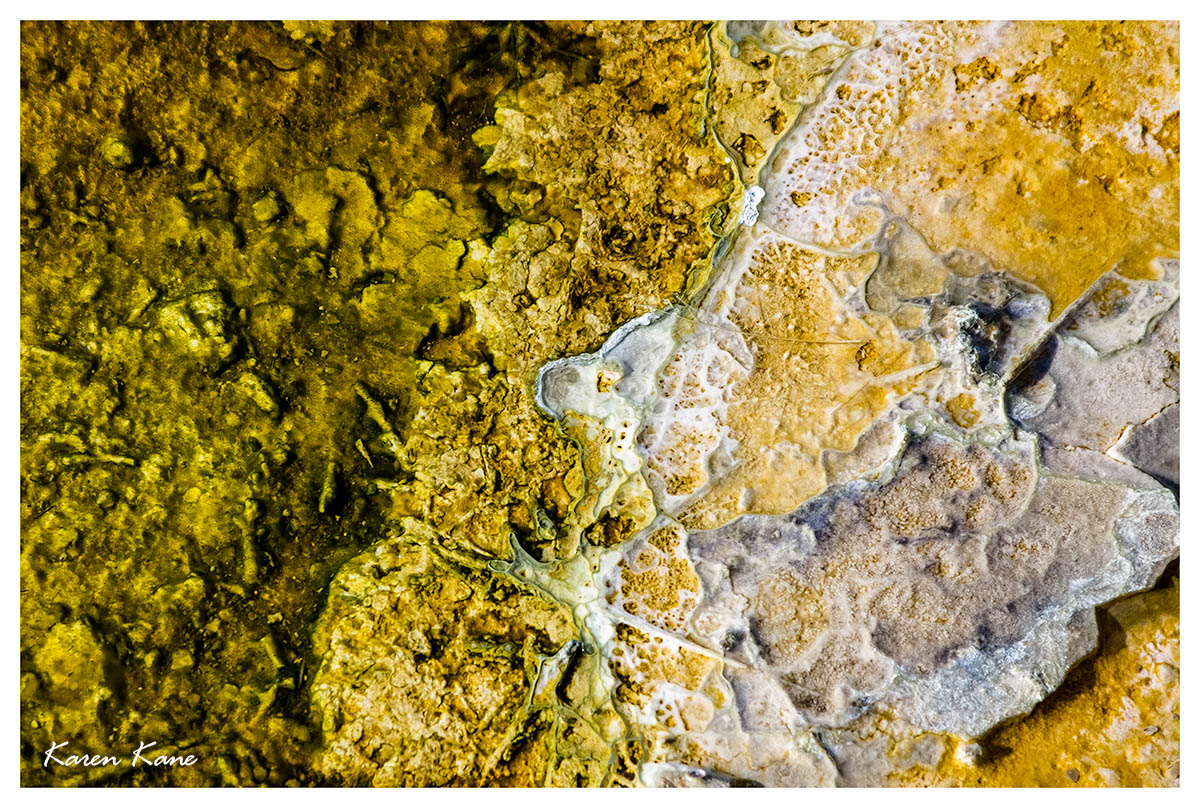 + Repost Abstracts of Yellowstone 