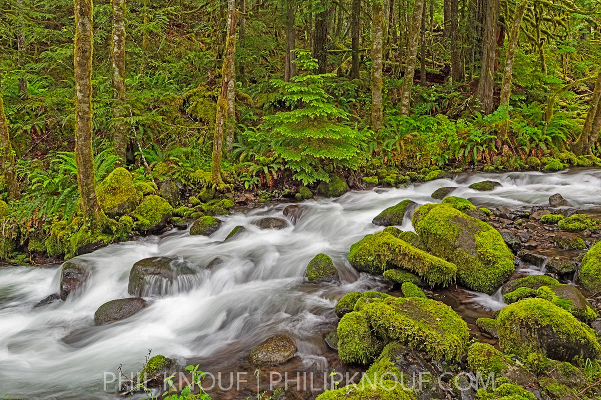 Cripple Creek Spring *(w/edit)