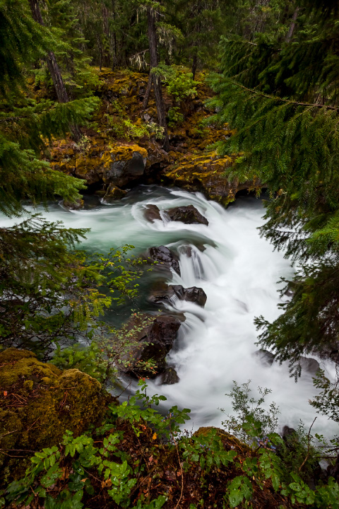 Rogue River