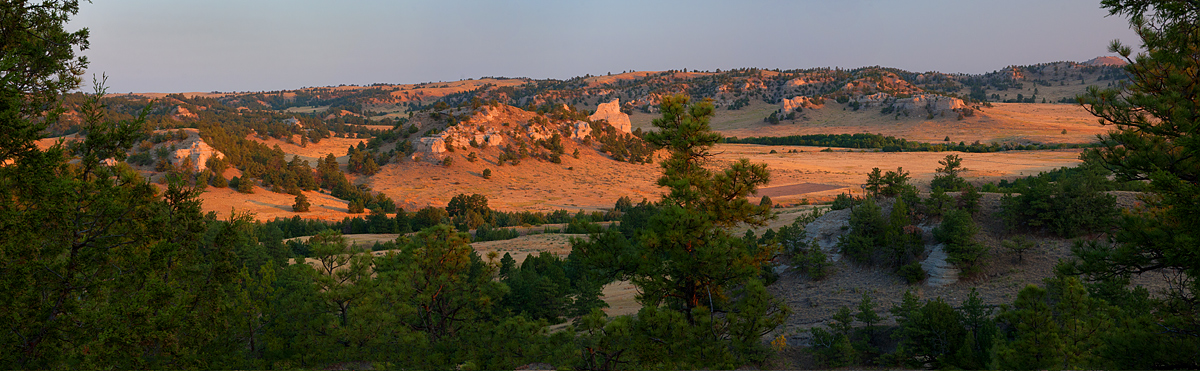 Buffalo Creek Pano