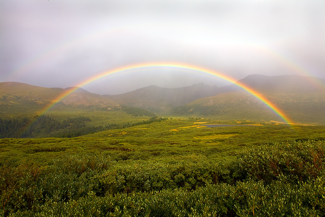 Roy G. Biv