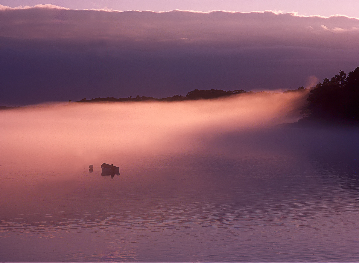 In a Fog