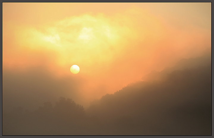 Sunrise in the Fog