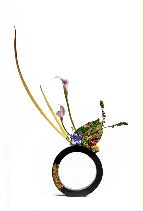 Zen circle