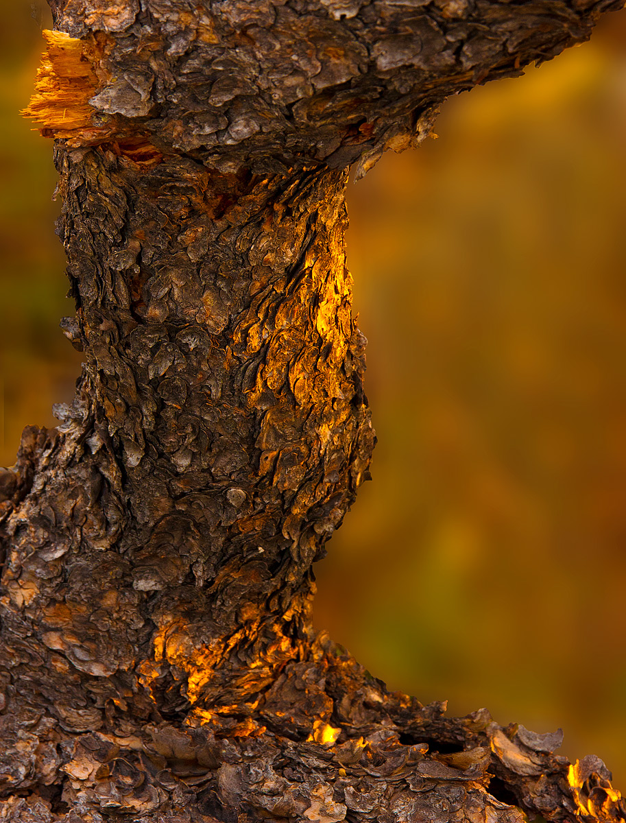 Different Background