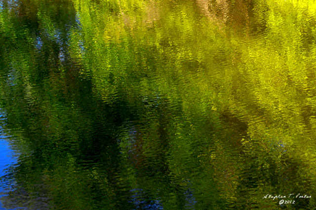 Reflections