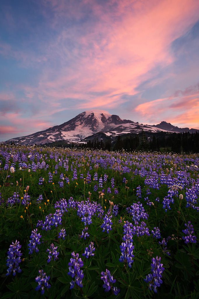 Tahoma