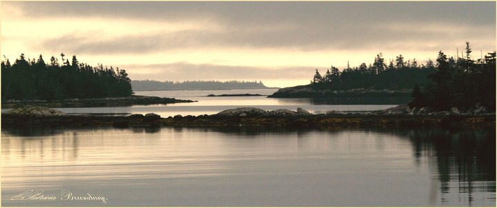 Gentle Sunrise
