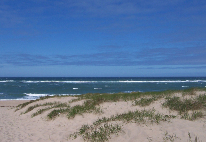 Race Point Beach