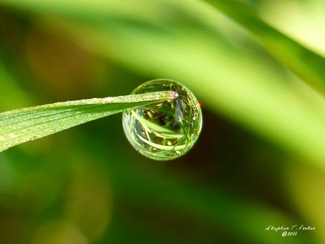 World in a Drop