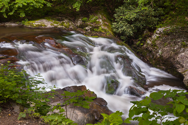 GSMNP