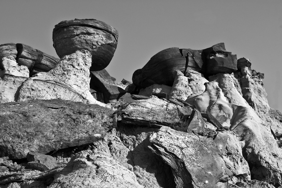 Hoodoos In B&W