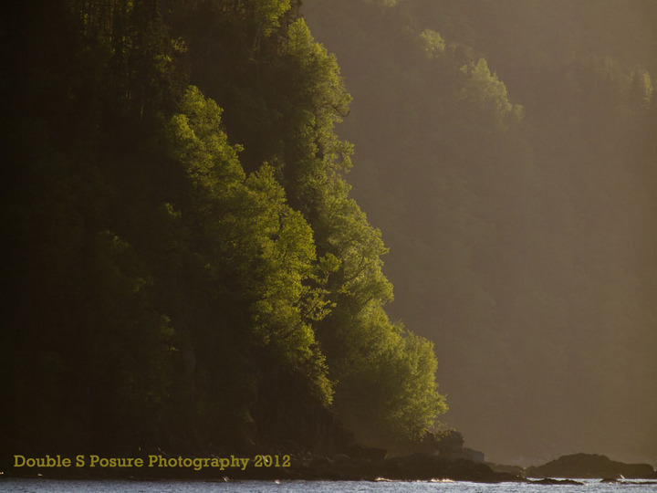Misty View