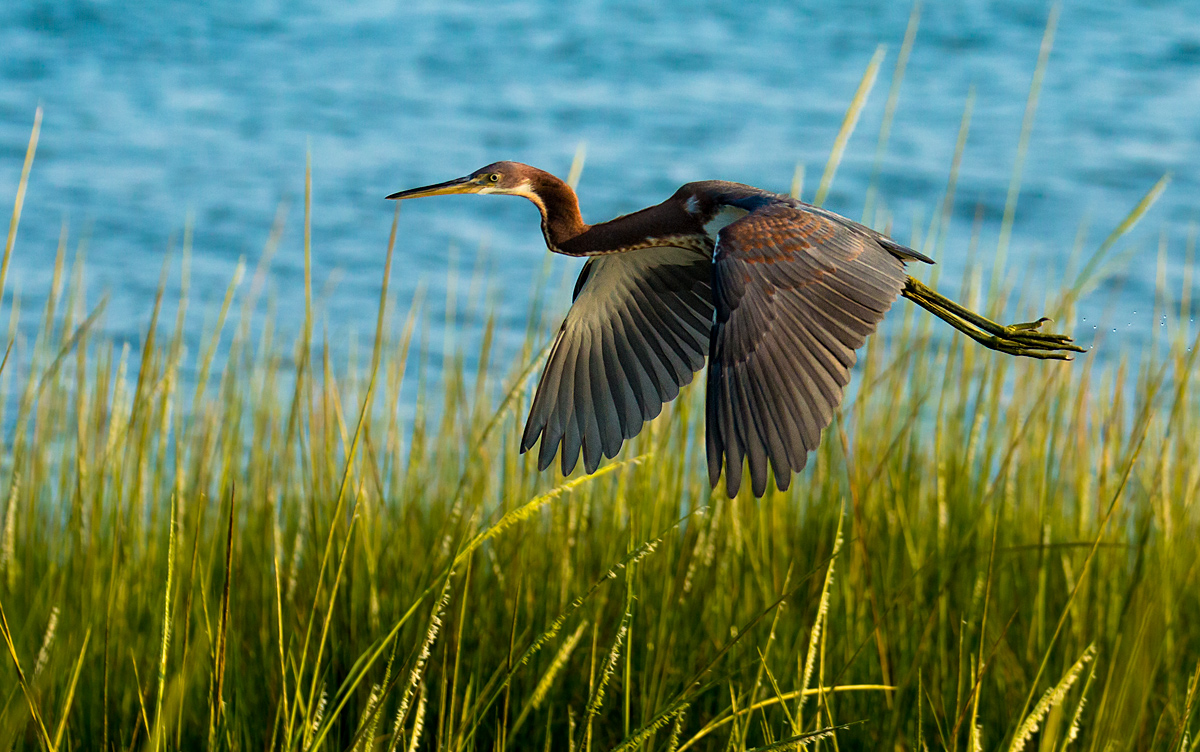 In flight