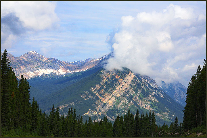 Canadian Rockies #4