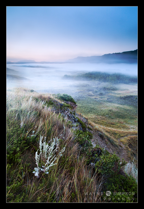 Dry Island Buffalo Jump
