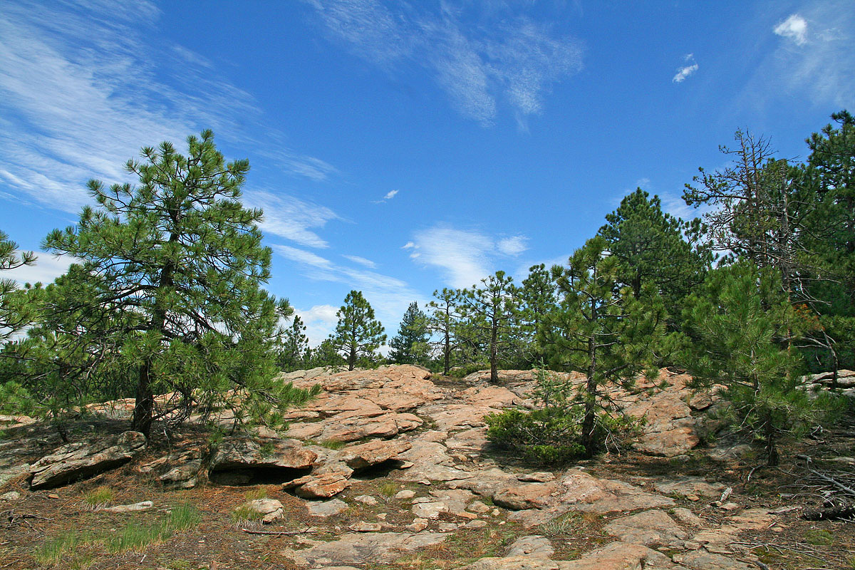 Hiking in Evergreen, CO
