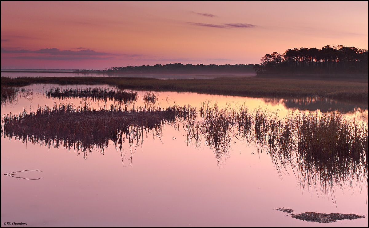 Pink Dawn (+ REPOST)