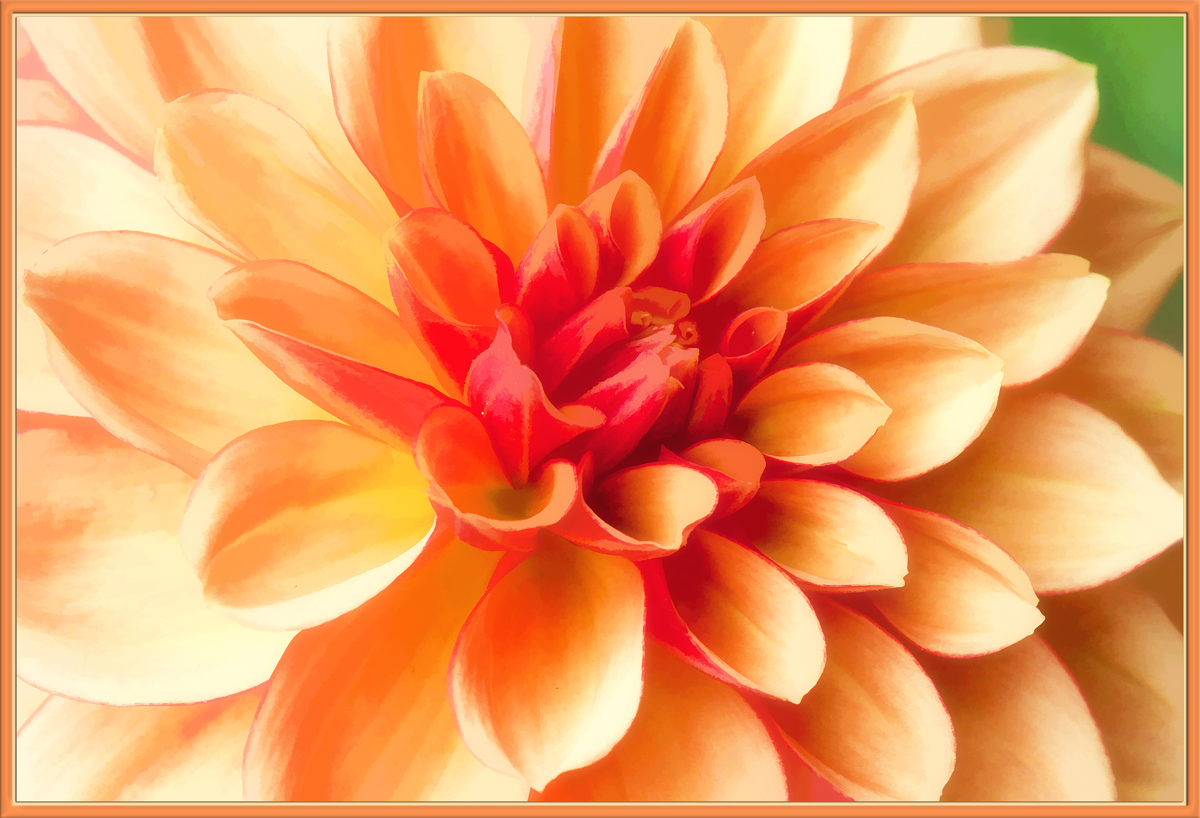Frosted Peach