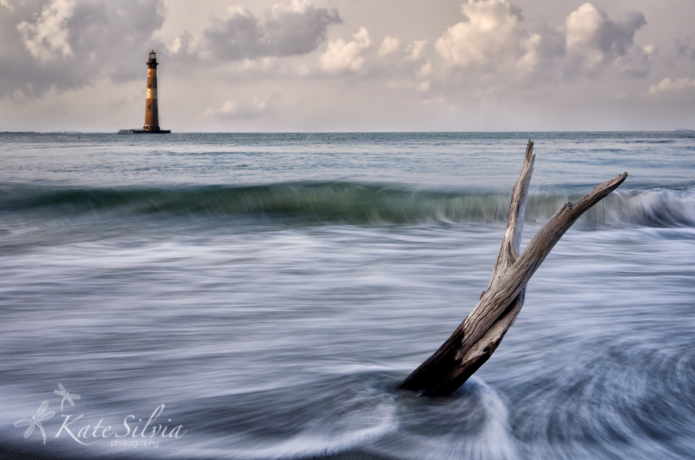 Wave Action