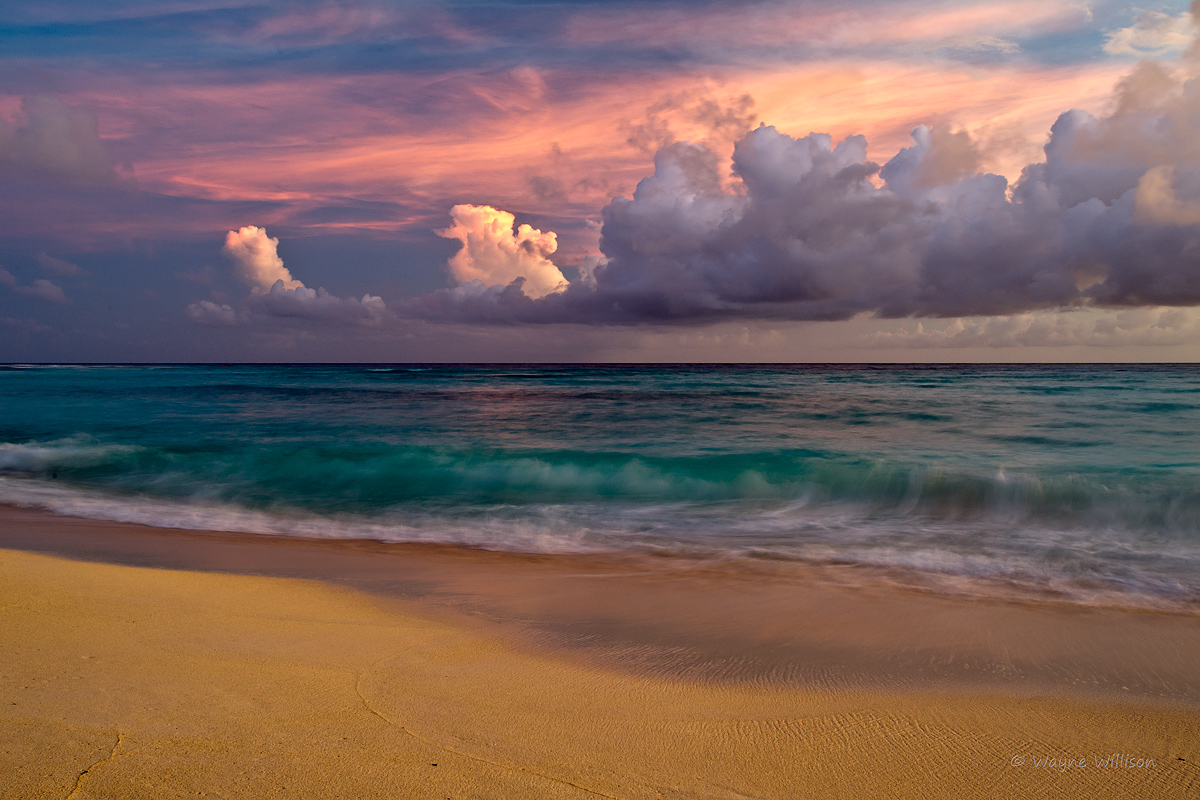  Storm Brewing