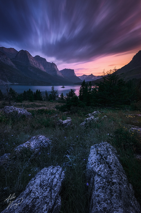 Twilight Meadow