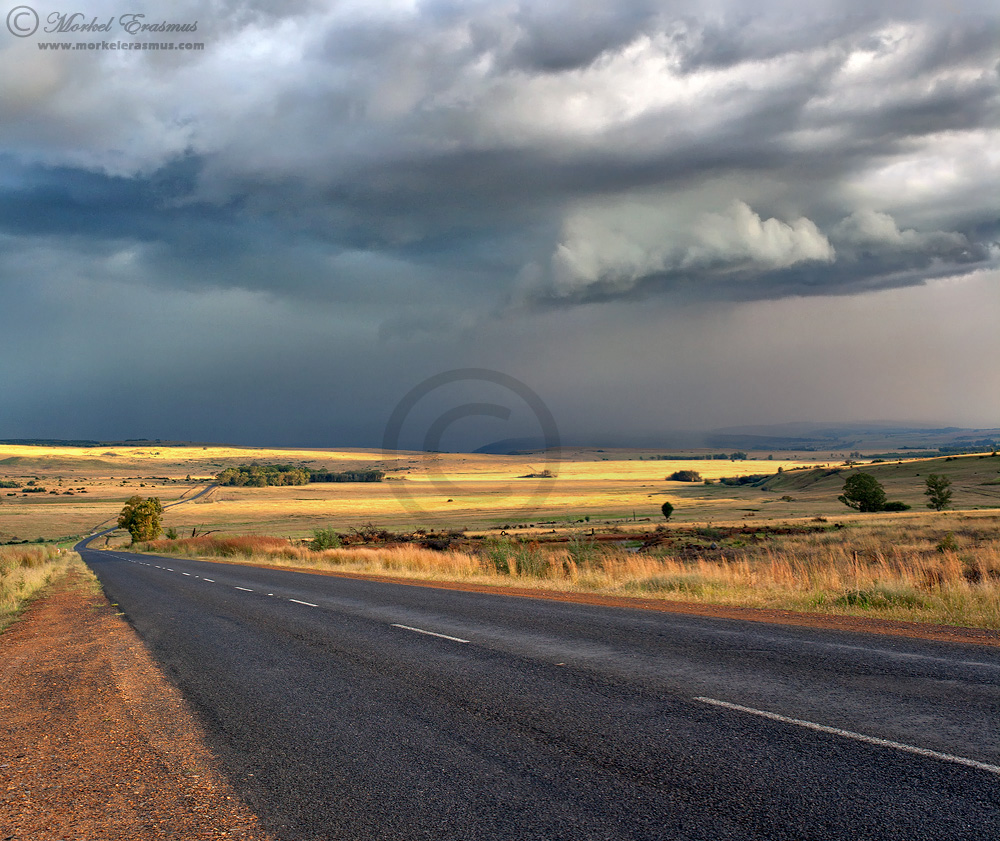 Into the Storm
