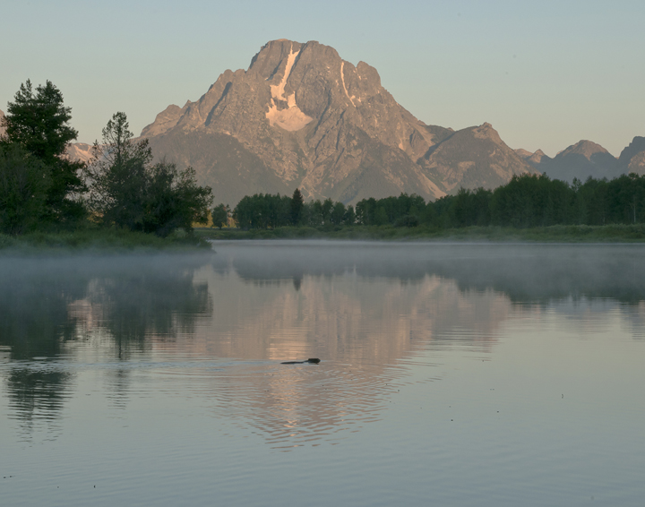 Oxbow with river otter with REPOST