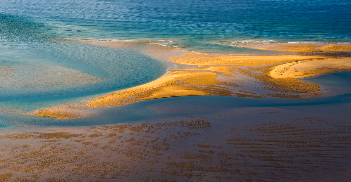 Sand Star