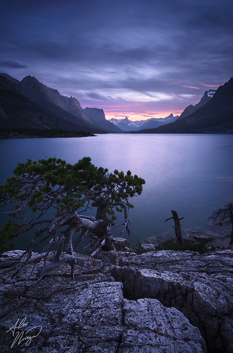 St Mary Twilight