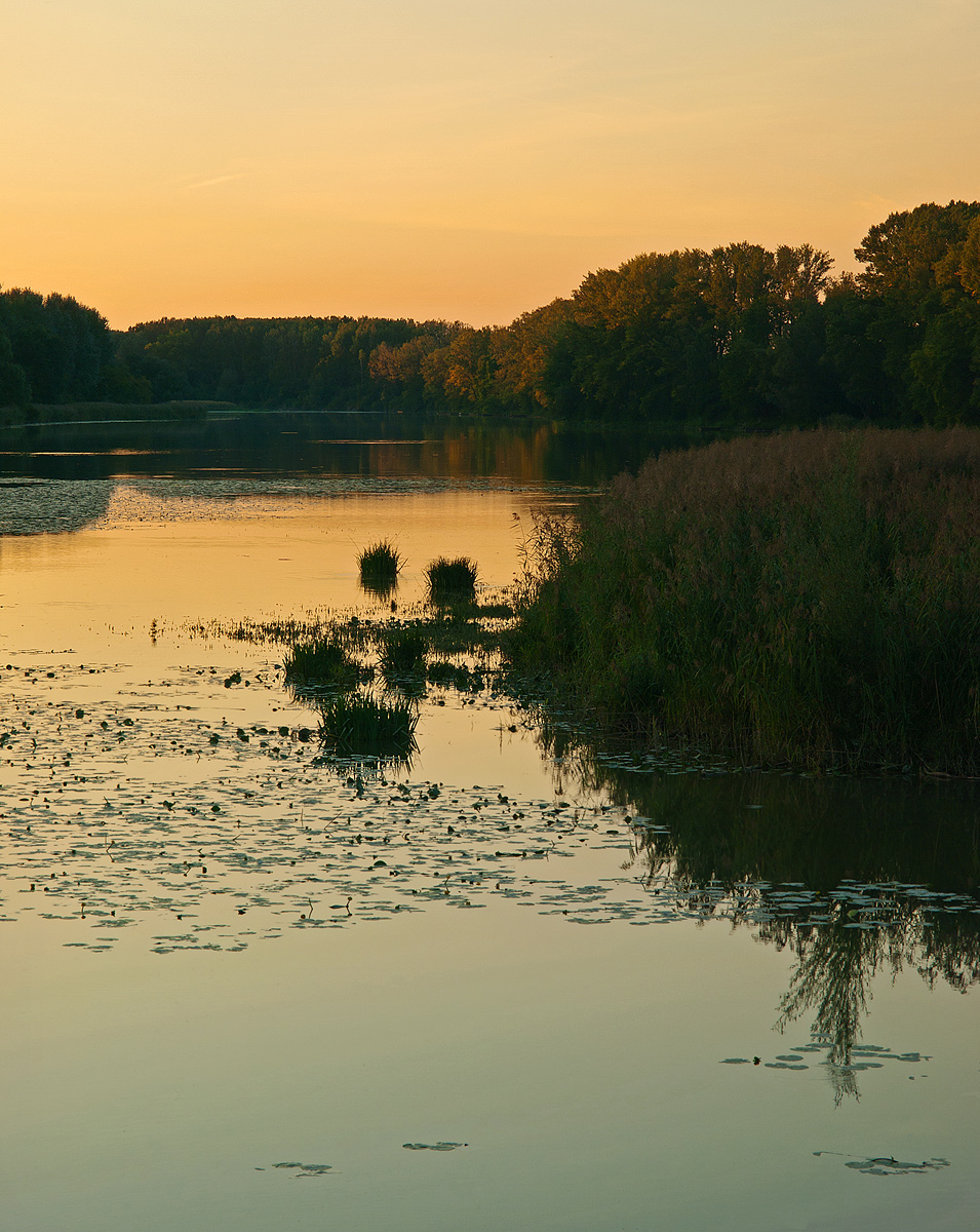Floodplains Evening