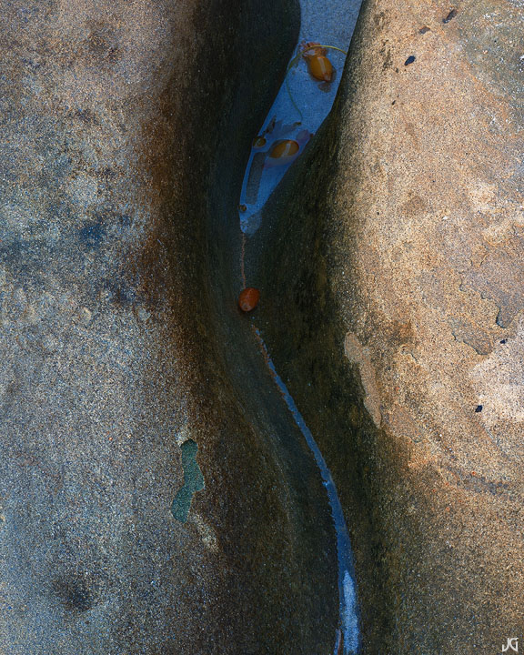 Coast Crevice