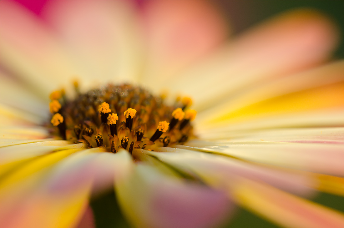 Seeking Light...