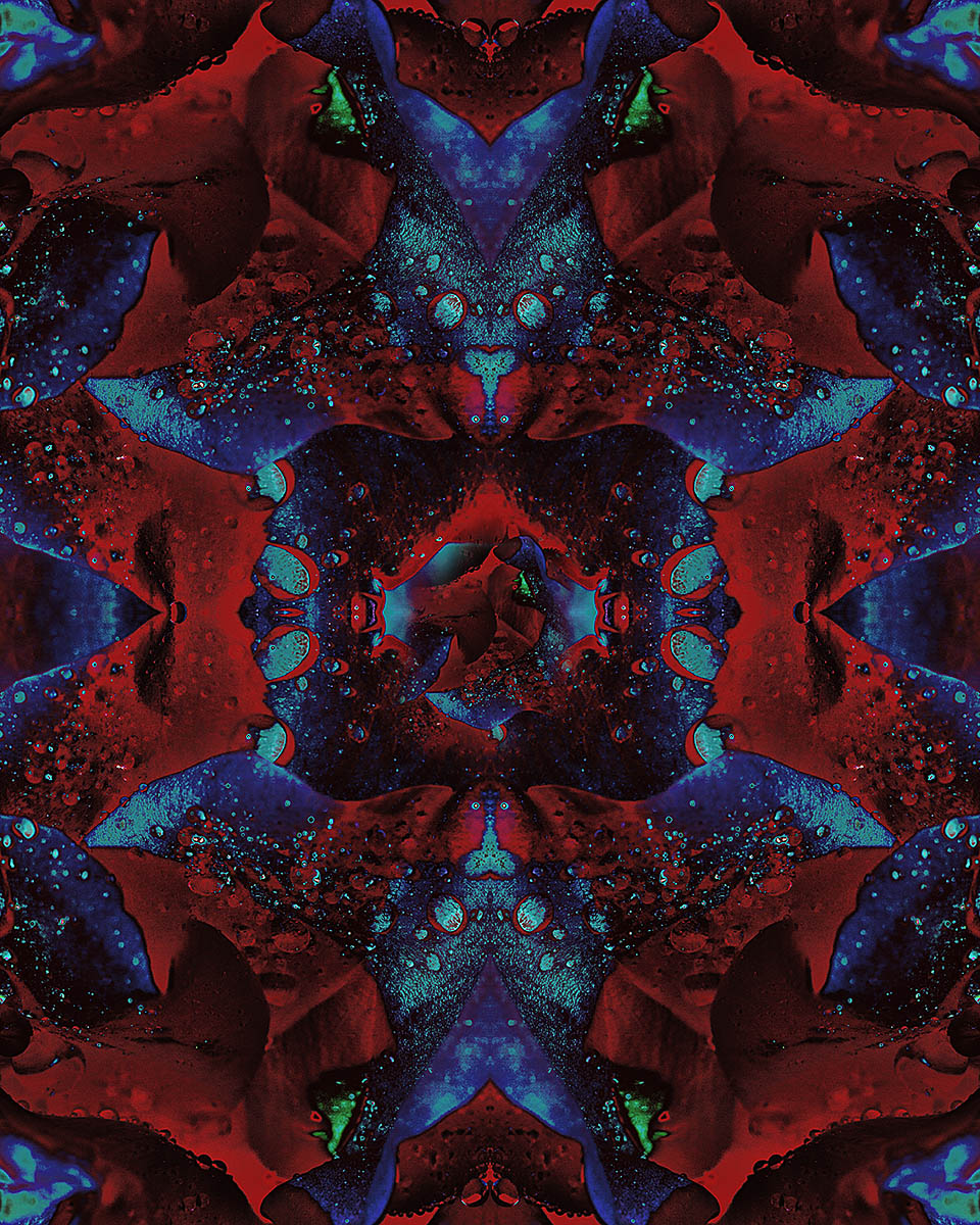 Psychotic rose 1