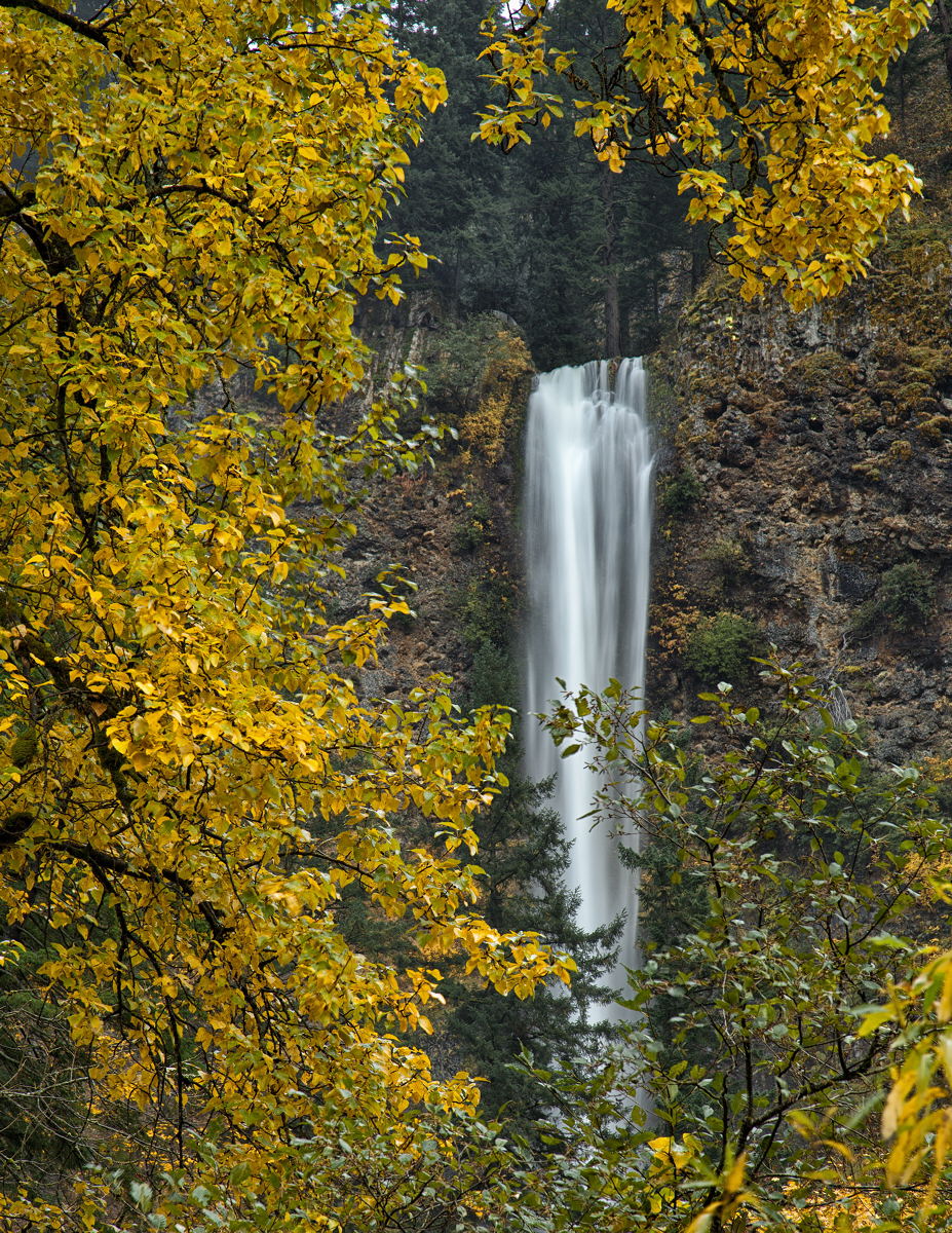 Multnomah Falls Fall