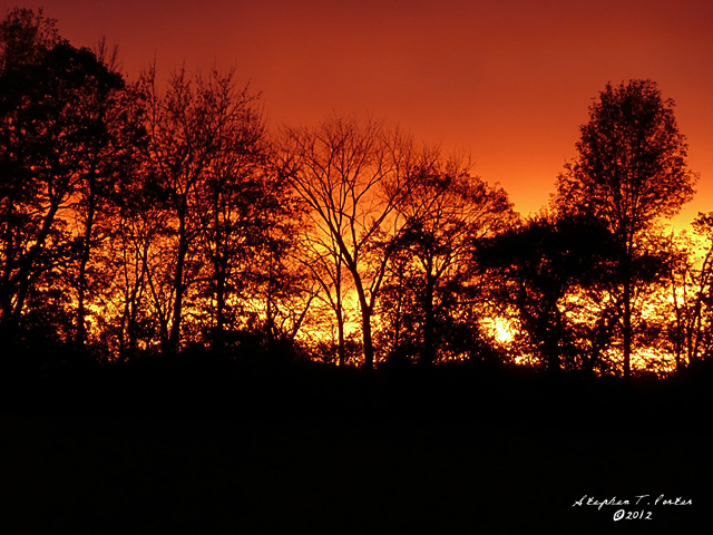 On Fire