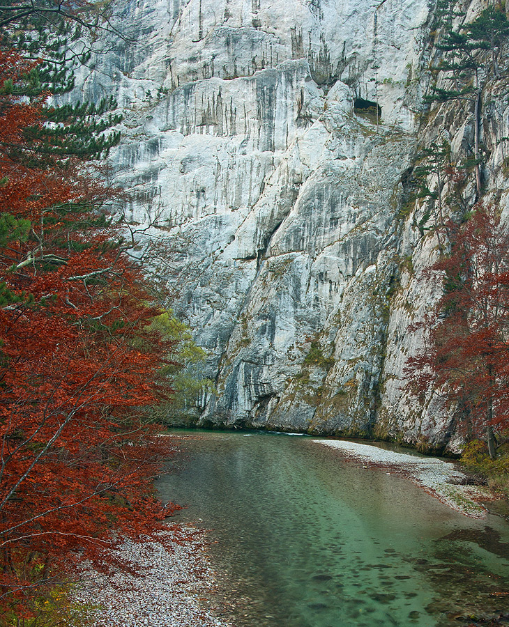 Portrait of a Rock Face