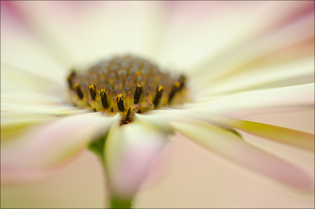 Radiating
